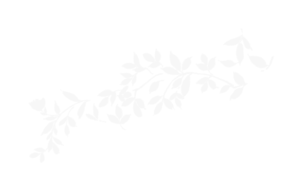 葉っぱの影のイラスト